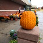 PXL 20241030 205147724 - Where Are All the Pumpkins in Topeka? A Last Minute Search for the Perfect Jack-o-lantern.