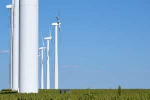 A wind farm in Grant County stands tall among grain crops in southwest Kansas. Current rural renewable energy projects have come to a halt after the federal funding freeze.