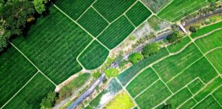 Bird's Eye View of River in Middle of Green Fields By Tom Fisk