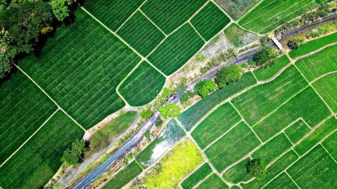 Bird's Eye View of River in Middle of Green Fields By Tom Fisk