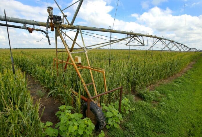 download (64) Corn is a key source of biofuel. Fertilizing it releases a potent greenhouse gas into the air, so the federal government had approved research to grow the crop with less nitrogen. The funding is now paused.