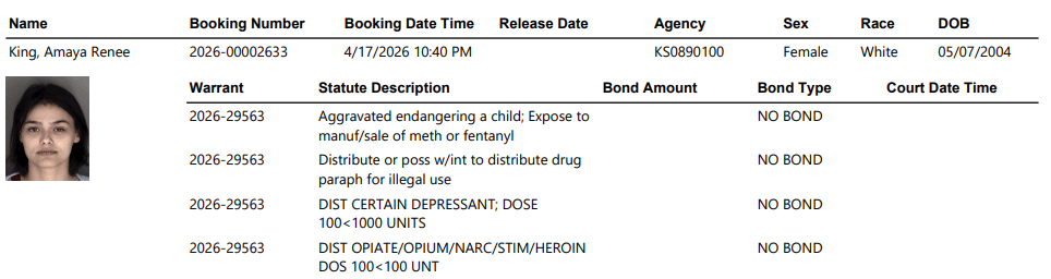 Screenshot 2026 04 18 093223 - Six Arrests. Child Endangerment Charges. What Was Going On in That House? 3 Screenshot 2026 04 18 093223 - Six Arrests. Child Endangerment Charges. What Was Going On in That House?