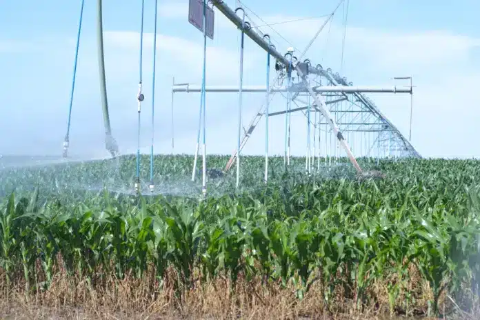 download (76) Calen Moore / Kansas News Service A center pivot sprinkler pumping water on crops in southwest Kansas.