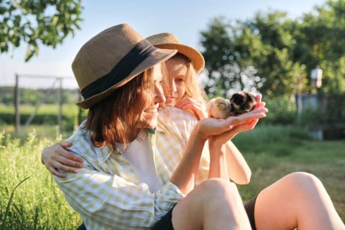 Mom and daughter together with baby chickens.
