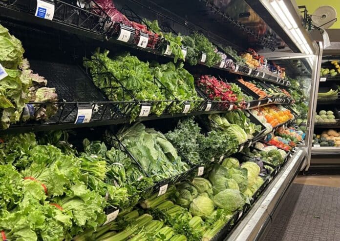 lettuce-photo-1024x727-1 Vegetables and lettuces at a grocery store in Michigan. Michigan health officials say lettuces and salad greens are emerging as a likely source in the nationwide cyclosporiasis outbreak, which has sickened hundreds of people across 31 states. (Photo by Jon King/Michigan Advance)